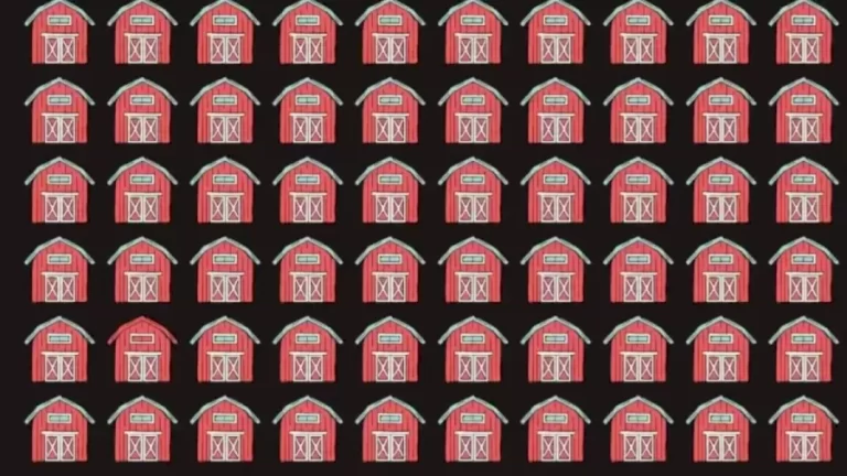 Optical Illusion Eye Test: Can You Find The Different Barn?