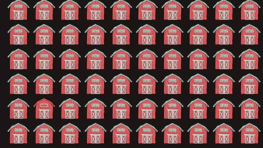 Optical Illusion Eye Test: Can You Find The Different Barn?