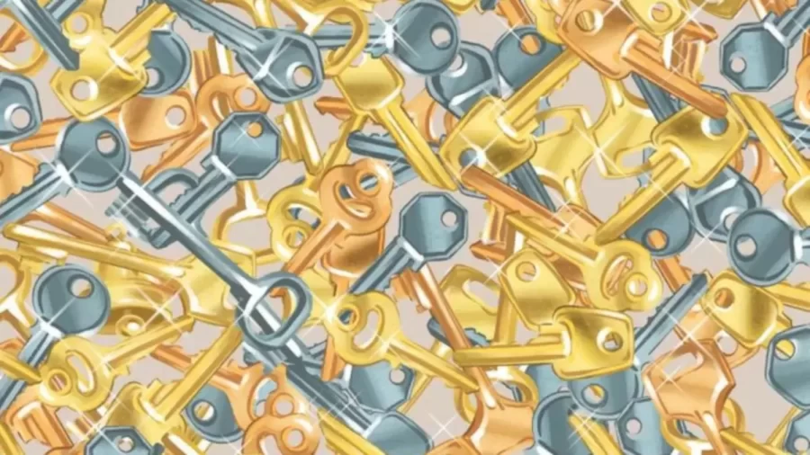 Optical Illusion Eye Test: Find The Hidden Bell Among These Keys In Less Than 20 Seconds