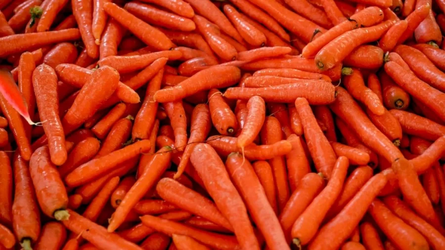 Optical Illusion Eye Test: Finding The Red Radish Among These Carrots Is Not Easy As It Looks. Do You Want To Try It?