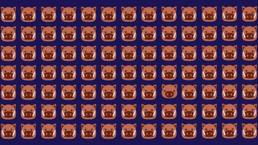 Optical Illusion Eye Test: If You Have Hawkeyes Find The Pig Among These Warthogs Within 20 Seconds