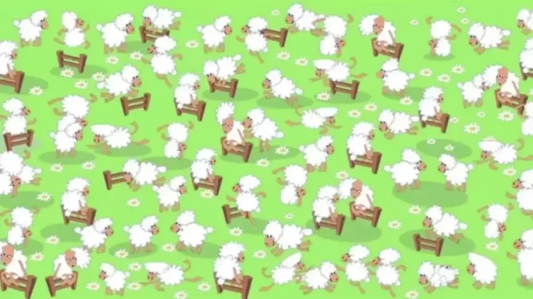 Optical Illusion Find And Seek: Within 22 Seconds, Find The Chicken Among These Sheep