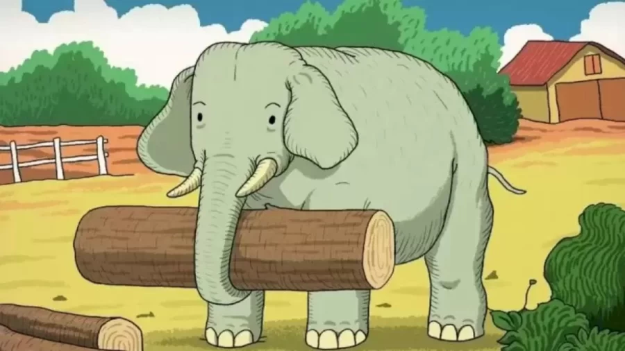 Optical Illusion: Help the Elephant to Find his Friend. Only 2% People Can Find the Second Animal