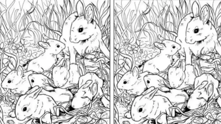 Optical Illusion Hide and Seek: Only 15% Can Detect The Seashell Among These Rabbits Within 11 Seconds. Can You?