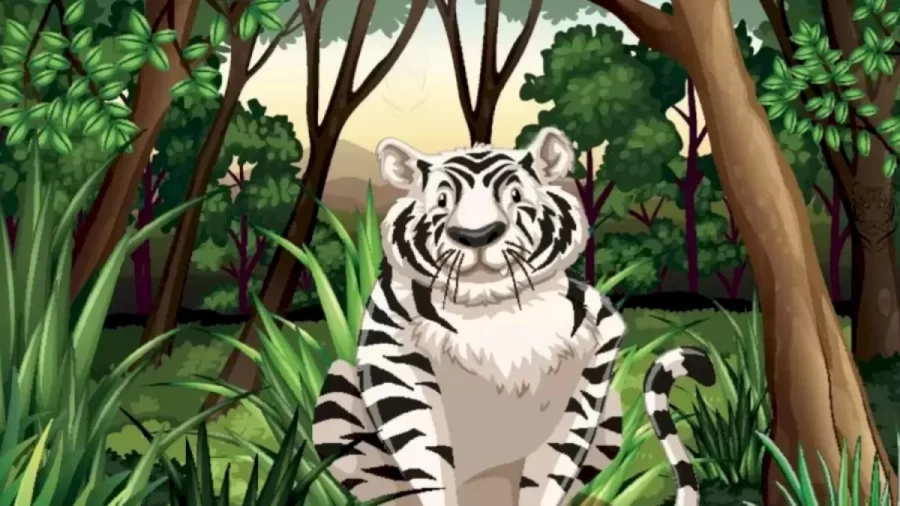 Optical Illusion: How Many Tigers are there. Can You Spot All the Tigers in 10 Seconds?