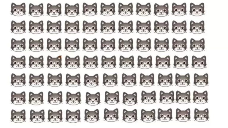 Optical Illusion: There are Many Cats, But One Cat belongs to Maria. Which Cat is that?