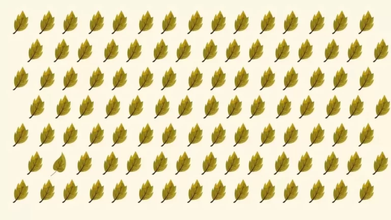 Optical Illusion Visual Test: Test Your Vision By Trying To Detect The Odd Leaf In Less Than 19 Seconds