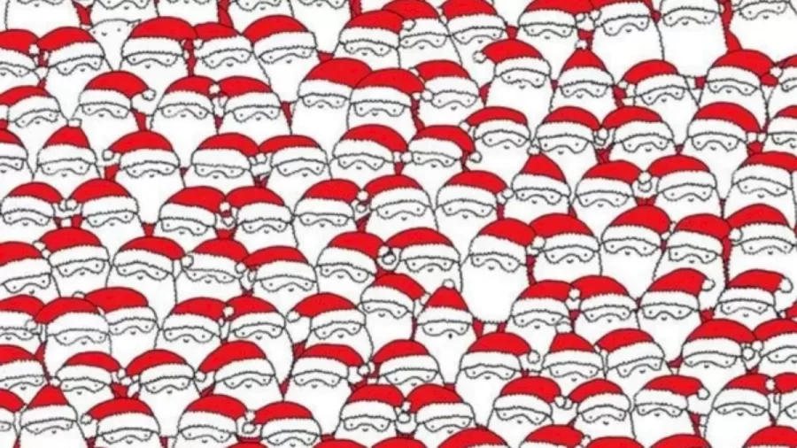 The Mind Boggling Optical Illusion: Can You Spot The Sheep Among The Santa Clauses?