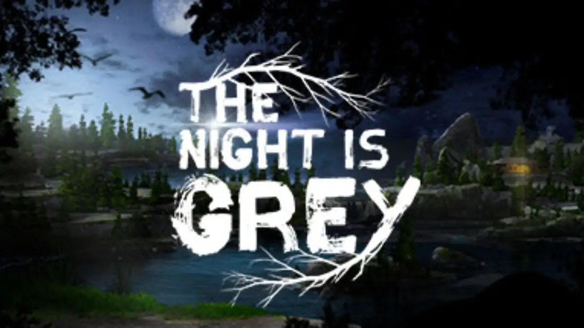 The Night is Grey Walkthrough, Guide, Gameplay and Wiki