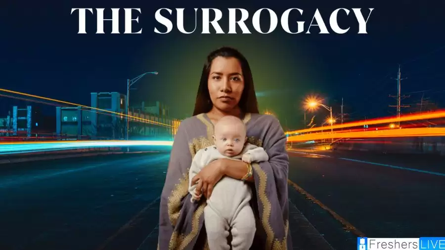 The Surrogacy Netflix Ending Explained, The Plot, Cast, and Review