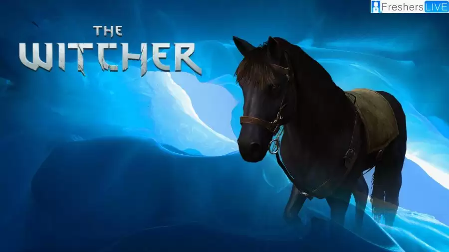 What Happened to Roach in The Witcher? Did Roach Die in The Witcher?