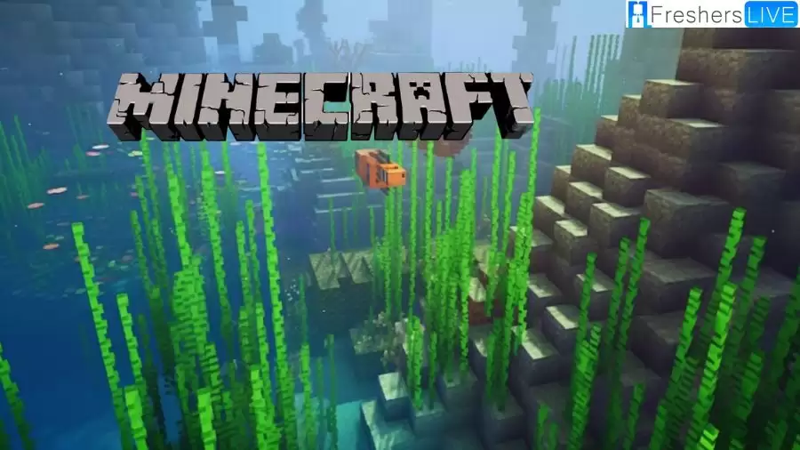 Where to Find Kelp in Minecraft? What is Kelp Used for in Minecraft? How to Make Kelp Grow Faster Minecraft?