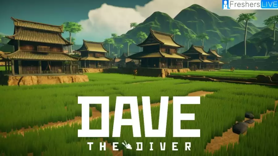Where to Find Rice in Dave the Dive?