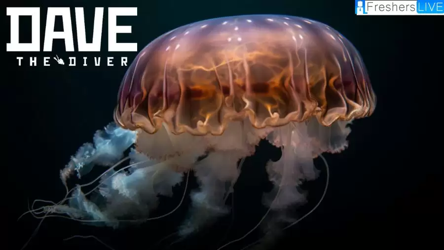 Where to Find White Spotted Jellyfish in Dave the Diver? Explore the Underwater World
