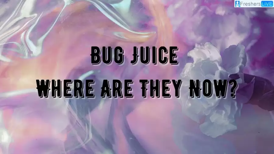 Bug Juice Where Are They Now? What Happened to The Bug Juice Cast Now?