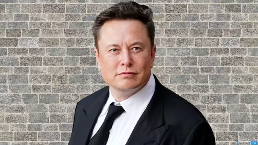 Elon Musk Ethnicity, What is Elon Musk Ethnicity?