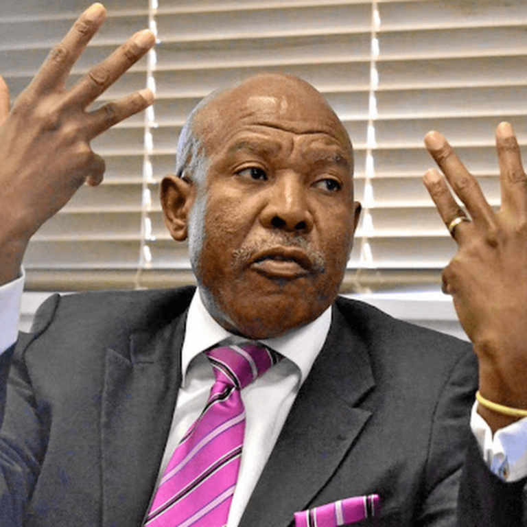 Lesetja Kganyago Biography: Age, Family, Net Worth, Salary, Tenure, Children, Twitter, House, Qualifications