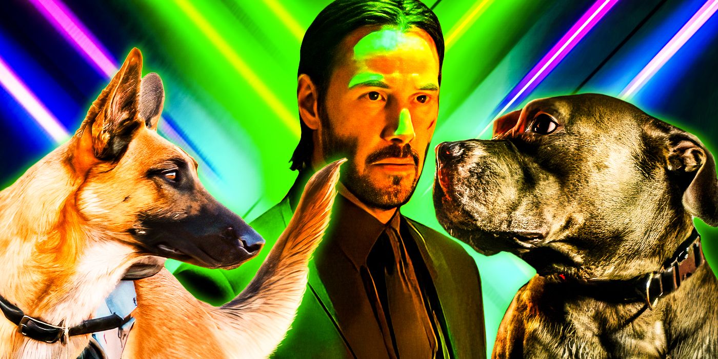 12 Things You Didn't Know About John Wick's Dogs