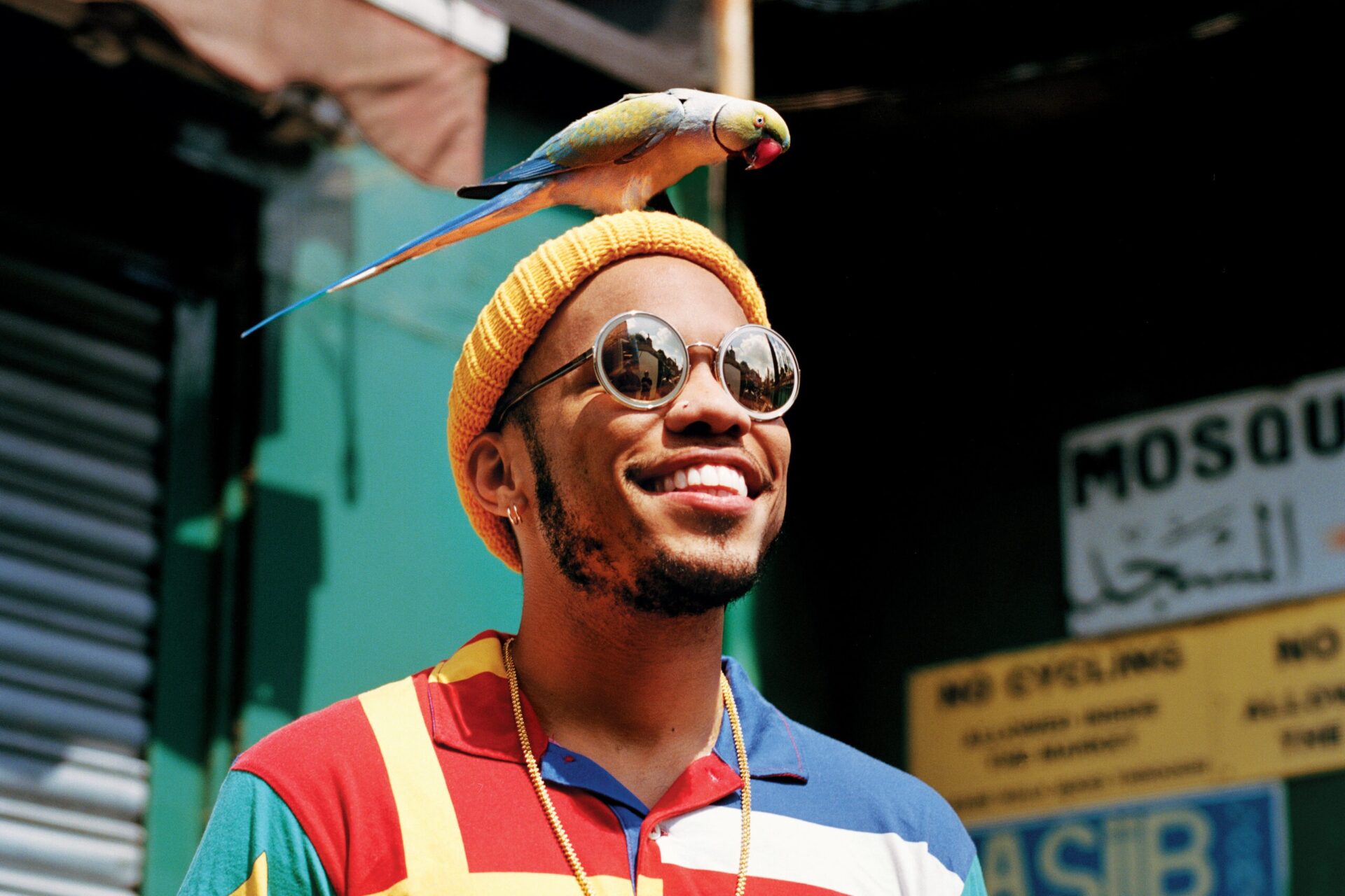 Anderson .Paak Biography: Net Worth, Age, Wiki, Height, Wife, Children, Instagram, Songs