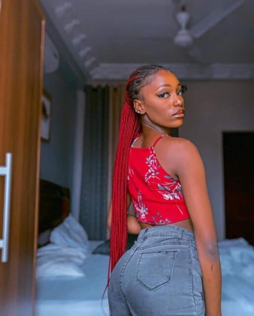 Big Brother Titans Nana Basheru Bio, Net Worth, Boyfriend, BBTitans, Age, Instagram, Nationality