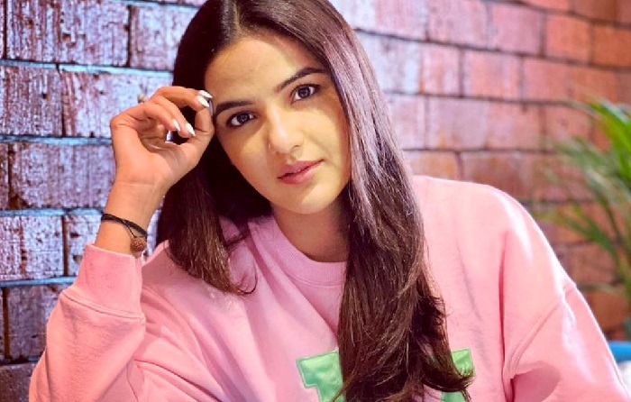 Jasmin Bhasin Biography: Husband, Net Worth, Age, Parents, House, Partner, Movies