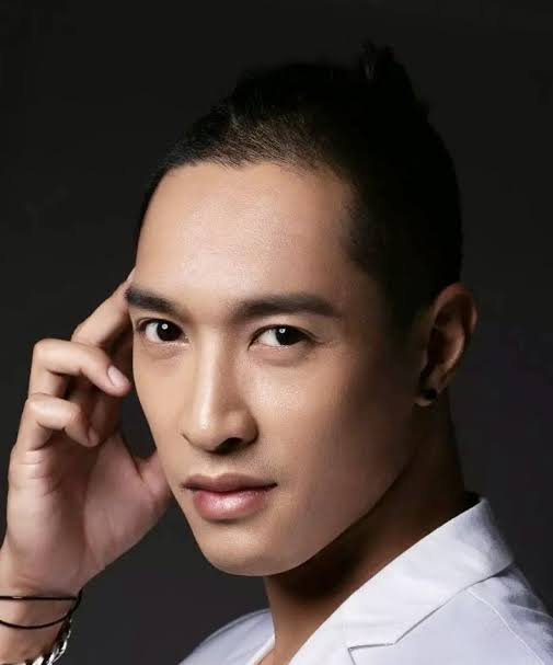 Peng Zhixiong Biography: Age, Net Worth, Wife, Children, Parents, Siblings, Career, Movies, Awards, Wiki, Pictures