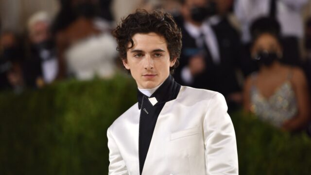 Timothée Chalamet Bio, Movies, Net Worth, Awards, Age, Sister, Height, Girlfriend, Instagram, Wikipedia