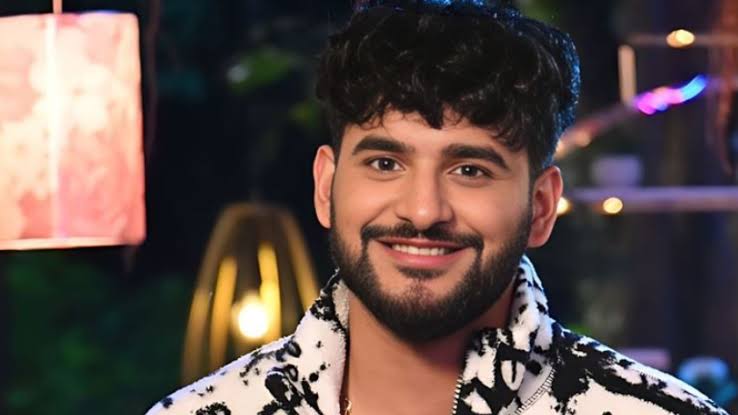 Abhishek Malhan Biography: Age, Net Worth, Instagram, Girlfriend, Height, Wiki, Parents, Siblings, Career, Ethnicity