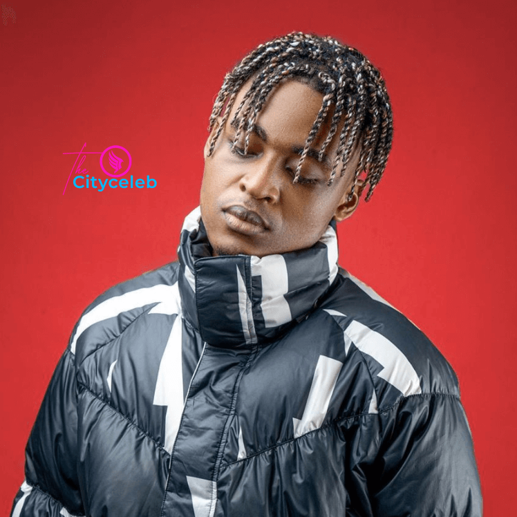 Check biography: real name, age, net worth, record label, songs, wiki, girlfriend, phone number and more