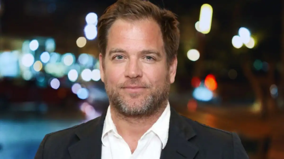 Is Michael Weatherly Coming Back to NCIS? Who is Michael Weatherly?