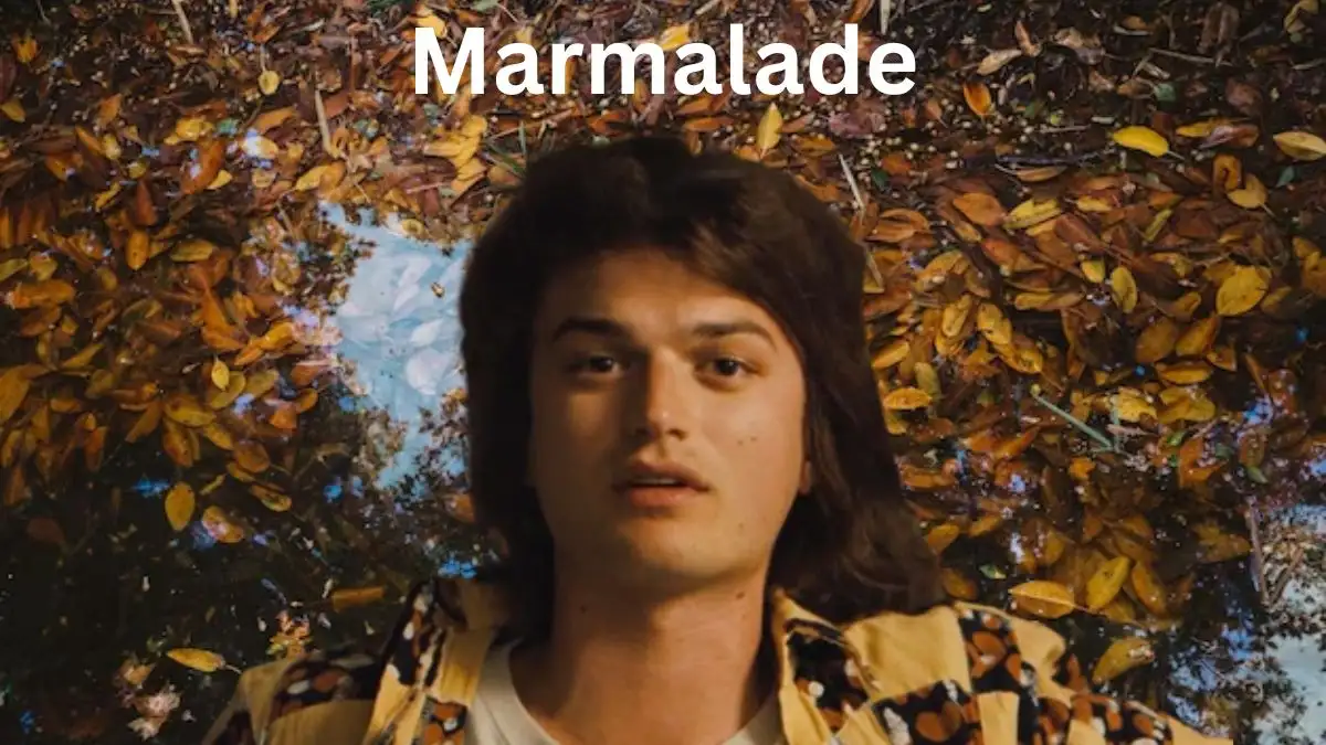 Marmalade Movie Ending Explained, Plot, Cast, Where to Watch and More