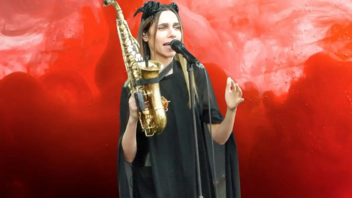 PJ Harvey 2024 Tour Dates, How to Get PJ Harvey Presale Code Tickets?