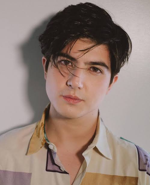 Zoren Legaspi's Son, Mavy Legaspi Biography: Age, Parents, Net Worth, Salary, Height, Education, Wiki, Instagram