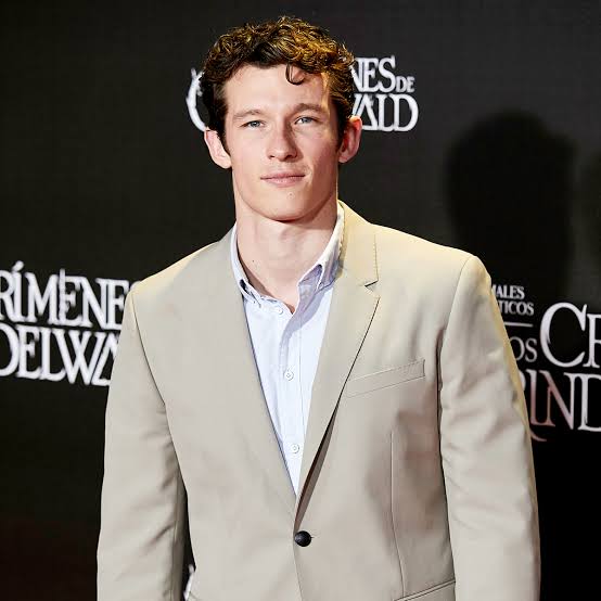 Callum Turner Biography: Instagram, Father, Age, Net Worth, Wife, Wiki, Height, Movies, Awards