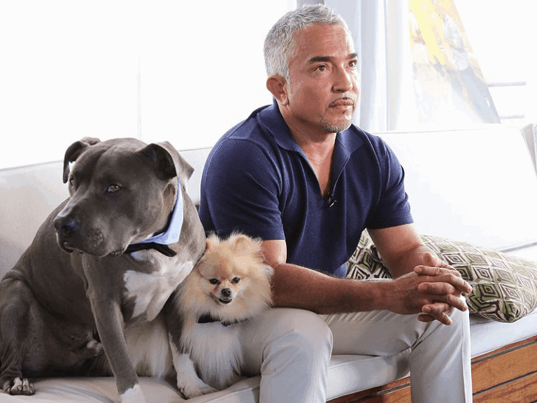 Cesar Millan Biography: Ethnicity, Parents, Siblings, Age, Net Worth, Children, Wife, Books, Awards