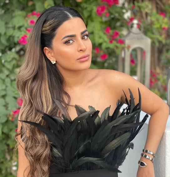 Safa Siddiqui Biography: Age, Husband, Parents, Wikipedia, Height, Instagram, Nationality, Children