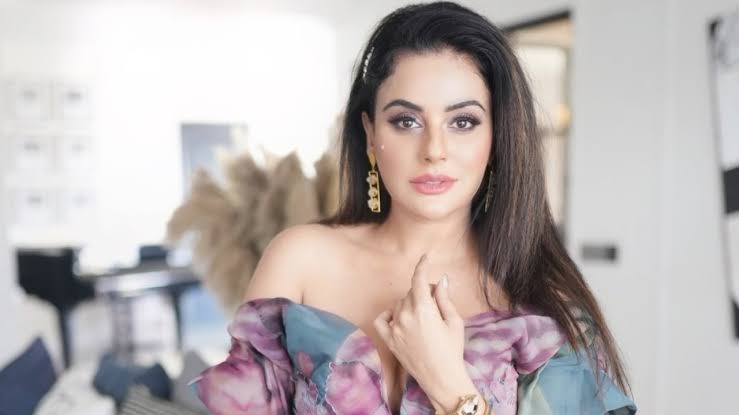 Sara Khan Biography: Father, Husband, Parents, Age, Wikipedia, Movies, Net Worth, Children, Real Name