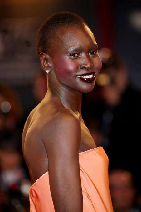 Alek Wek Biography: Husband, Daughter, Partner, Children, Net Worth, Ethnicity, Nationality, Age, Wikipedia