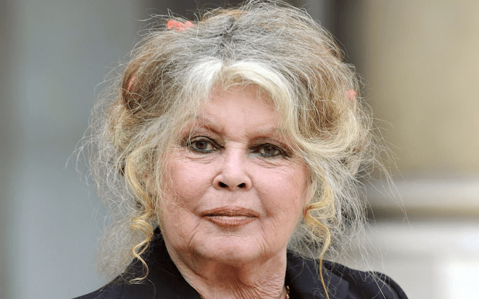 Brigitte Bardot Biography: Net Worth, Awards, Husband, Children, Age, Movies, Songs, Parents